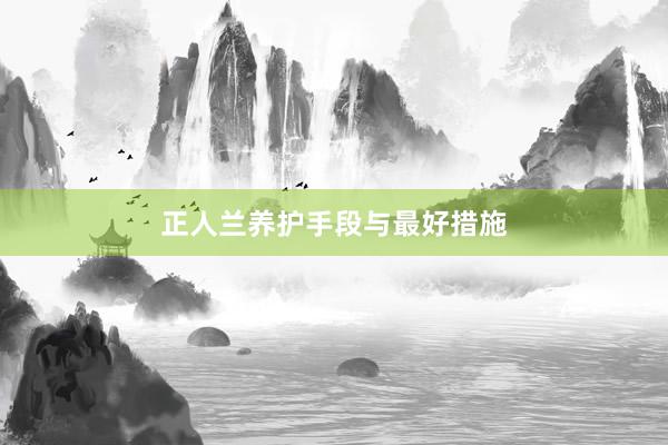 正人兰养护手段与最好措施