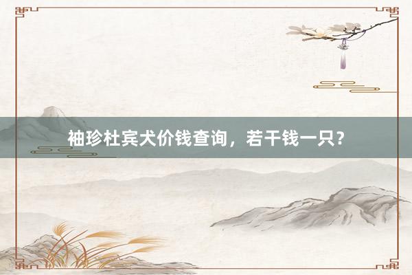 袖珍杜宾犬价钱查询,若干钱一只?